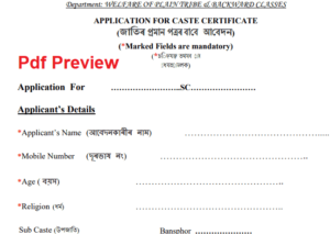 Assam Caste Certificate Application Form